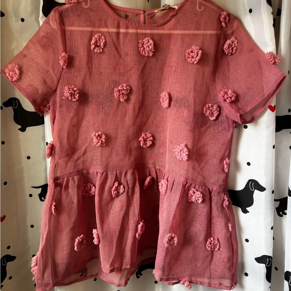 Entro Pink Sheer Top with Floral Details